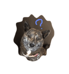 甲斐犬こころ。女の子です。（個別スタンプ：2）