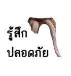A little snake named Mighty（個別スタンプ：4）