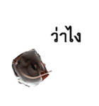 A little snake named Mighty（個別スタンプ：5）