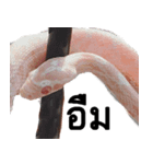 A little snake named Mighty（個別スタンプ：8）