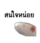 A little snake named Mighty（個別スタンプ：9）