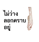 A little snake named Mighty（個別スタンプ：13）
