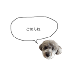 DOGGIN（個別スタンプ：7）