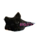 SeaCats（個別スタンプ：8）