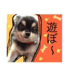 さなえスタンプpart2（個別スタンプ：4）
