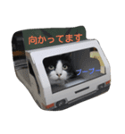 hachiware cat tamao！（個別スタンプ：5）