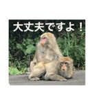 時々使う言葉集めました。（個別スタンプ：14）