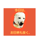 ばんとらいんSPミックス犬U^ェ^U（個別スタンプ：3）