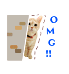 Cat story2-A Cat's daily！！ (English)（個別スタンプ：18）