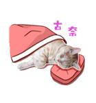 Cat story1-A lovely Cat's daily！！（個別スタンプ：24）
