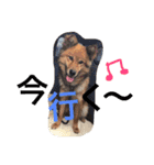 ☆ゴマミソと仲間達☆（個別スタンプ：24）