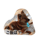 ☆ゴマミソと仲間達☆（個別スタンプ：27）