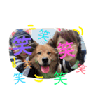 ☆ゴマミソと仲間達☆（個別スタンプ：28）