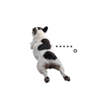 frebun bun（個別スタンプ：6）