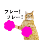 ペットのビビにゃん（個別スタンプ：10）