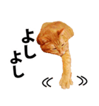 ペットのビビにゃん（個別スタンプ：27）