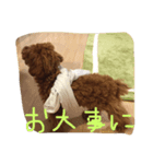 もこみちの日常（個別スタンプ：2）