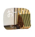 もこみちの日常（個別スタンプ：3）