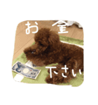 もこみちの日常（個別スタンプ：4）