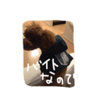 もこみちの日常（個別スタンプ：8）