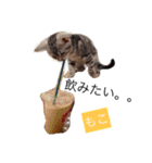 南港ブラマフィ（個別スタンプ：1）
