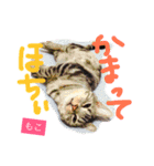 南港ブラマフィ（個別スタンプ：10）