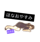 南港ブラマフィ（個別スタンプ：12）
