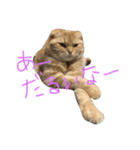 Moka！Moka！！（個別スタンプ：1）