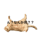 Moka！Moka！！（個別スタンプ：3）