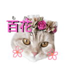 Moka！Moka！！（個別スタンプ：5）