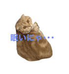 Moka！Moka！！（個別スタンプ：6）