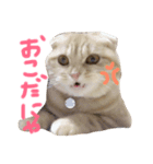 Moka！Moka！！（個別スタンプ：7）