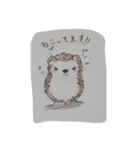ハリネズさん（個別スタンプ：5）