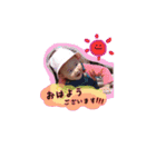 塔花と城典（個別スタンプ：1）