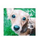 茶々と愉快な仲間たち（個別スタンプ：2）