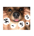 茶々と愉快な仲間たち（個別スタンプ：8）