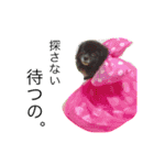 モチ＆ハル＆クッキー（個別スタンプ：3）
