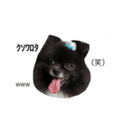 モチ＆ハル＆クッキー（個別スタンプ：17）