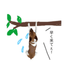 ジャックの小次郎（個別スタンプ：11）