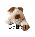 オンボロ犬のぬいぐるみスタンプ（個別スタンプ：3）