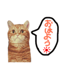 シロ＆ビック＆リリー（個別スタンプ：7）