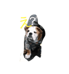 だるま日常（個別スタンプ：2）