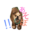 だるま日常（個別スタンプ：15）