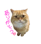 まるもじゃスタンプ♡（個別スタンプ：2）