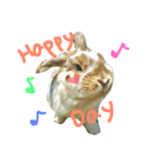 たれみみのエル（個別スタンプ：11）
