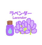 アロマ エッセンシャルオイル 1（個別スタンプ：36）