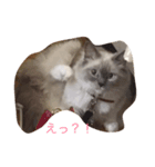 モナの毎日（個別スタンプ：2）
