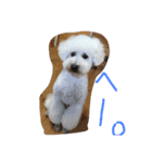 おやじ犬 ちっぷ（個別スタンプ：7）