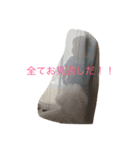 おやじ犬 ちっぷ（個別スタンプ：11）
