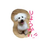 おやじ犬 ちっぷ（個別スタンプ：13）
